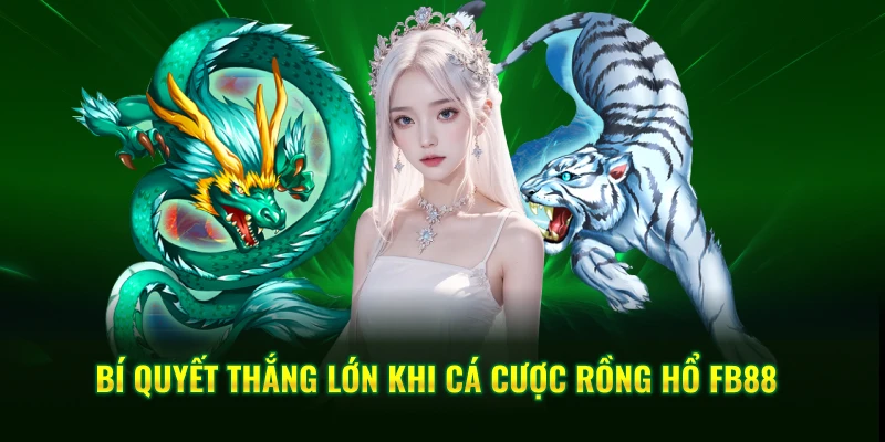 Bí quyết thắng lớn khi cá cược rồng hổ FB88