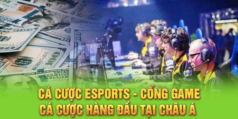 Cá cược Esports - Cổng game cá cược hàng đầu tại Châu Á 