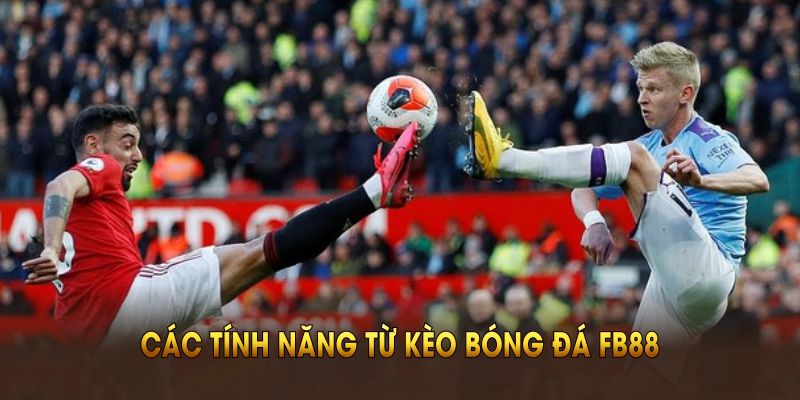 Các tính năng từ kèo bóng đá FB88 khiến cược thủ say