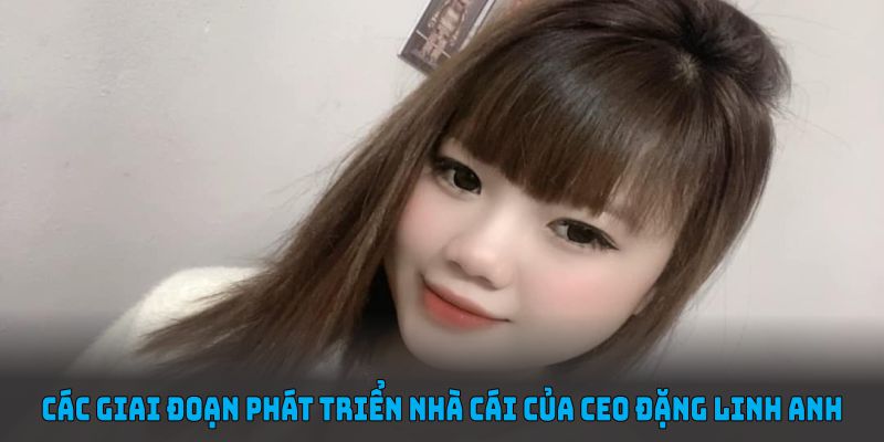 Các giai đoạn phát triển nhà cái của Ceo Đặng Linh Anh