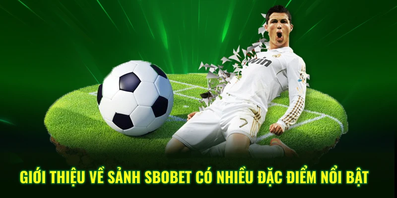 Giới thiệu về sảnh Sbobet có nhiều đặc điểm nổi bật
