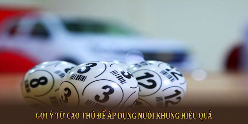 Gợi ý từ cao thủ để áp dụng nuôi khung hiệu quả 