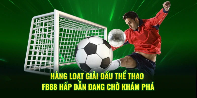 Hàng loạt giải đấu thể thao FB88 hấp dẫn đang chờ khám phá