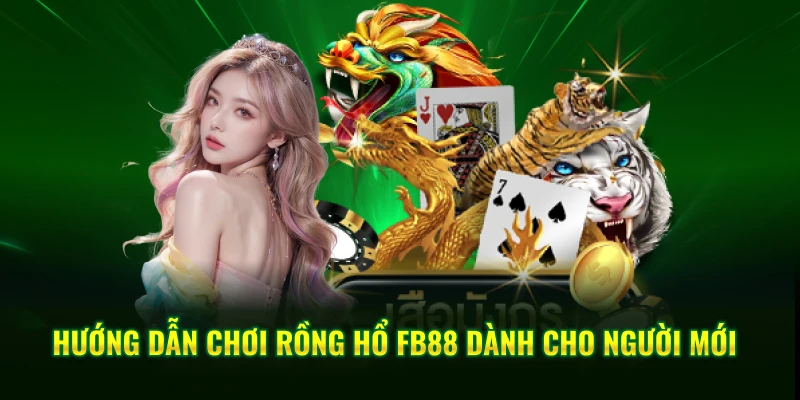 Hướng dẫn chơi rồng hổ FB88 dành cho người mới