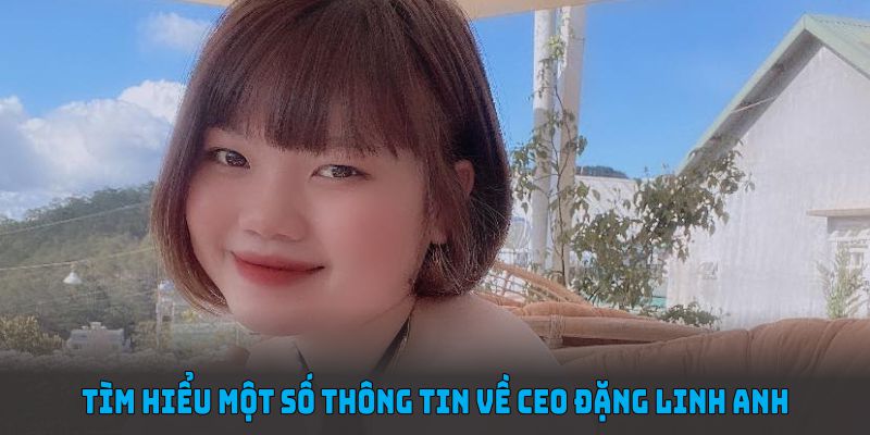 Tìm hiểu một số thông tin về Ceo Đặng Linh Anh