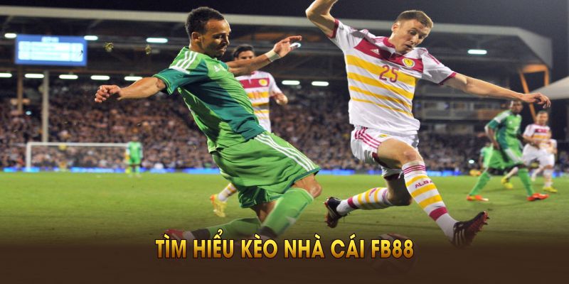 Tìm hiểu kèo nhà cái FB88 de toi uu kha nang thang