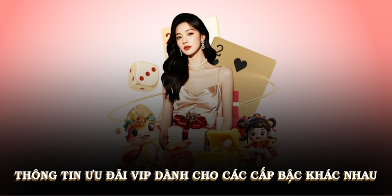 Thông tin ưu đãi VIP dành cho các cấp bậc khác nhau